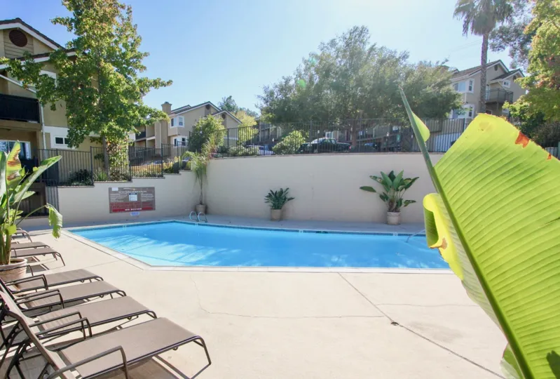pool decorated with chair and plants in front of the building in The Heritage