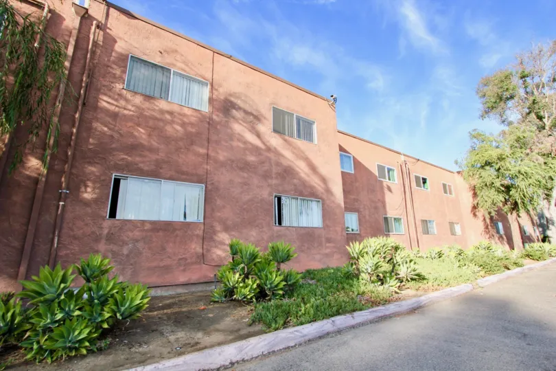 Back side of the building decorated with Plants flower and trees in Villa La Paz