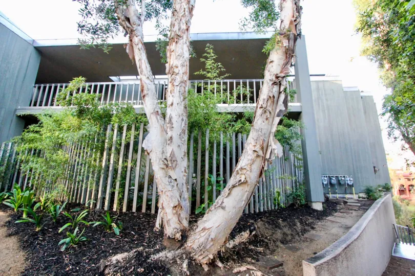 THE FLAT IN THE 3100 FRONT WITH THE MOTOR, PLANTS, TREES, BALCONI