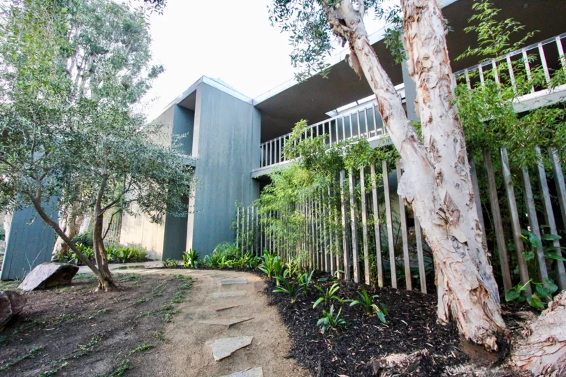 Modern style architecture with flagstone lined pathway adjacent to gardens with mature trees at 3100 Front