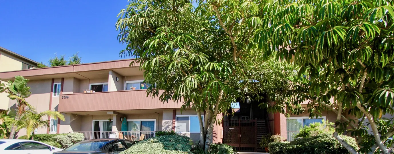 A sunny day in the 3769 1st Ave with residential building and vehicles.