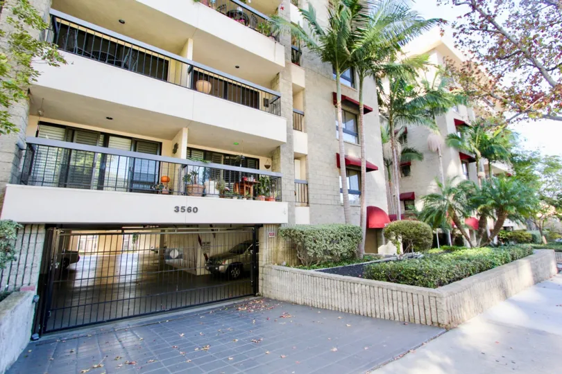 A sunny day in the area of Bankers Hill Towers, outside, condos, highrise, palm trees, balconies