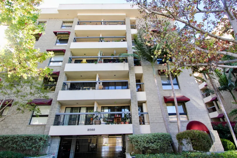 THE 3560 APARTMENT IN THE BANKERS HILL TOWERS WITH THE BALCONIS, TREES, FLOWER POT, PLANTS