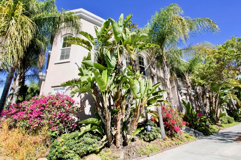Excellent Sunny day with trees in front of a Villa in Bristol Square of Hillcrest