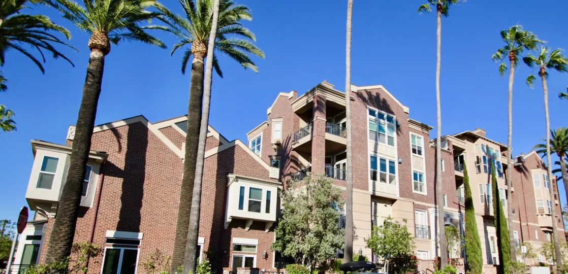 Tall Trees in the Cambridge Square with bushes and plants around the apartments