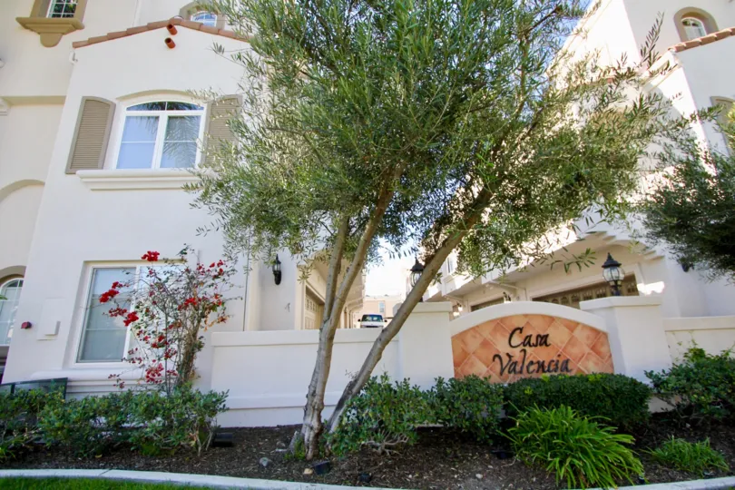 A sunny day in the Casa Valencia with residential building and plants.