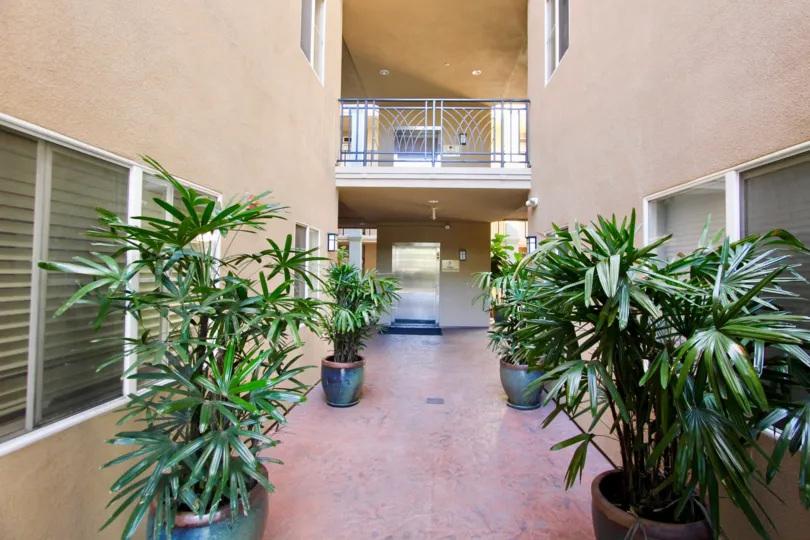A SUNNY DAY IN THE CENTER COURT CONDOMINIIUMS HOUSE SOME OTHER PLANTS