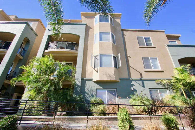 Beautiful sunny day with palm trees overhead at the Centre Court Condominiums