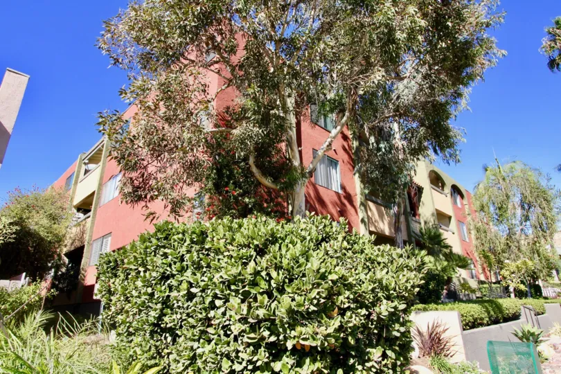 An exterior view of condo units at Centre Park Terrance showing outside landscaping, red and beige stucco walls, and large sliding windows.