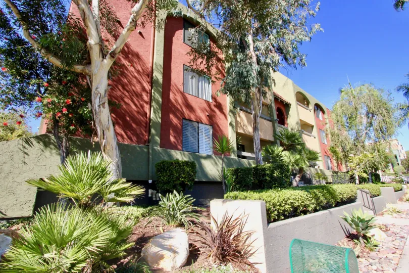 A sunny day in the area of Centre Park Terrace, outside, high rise, condos, flowers, palm trees, sidewalk