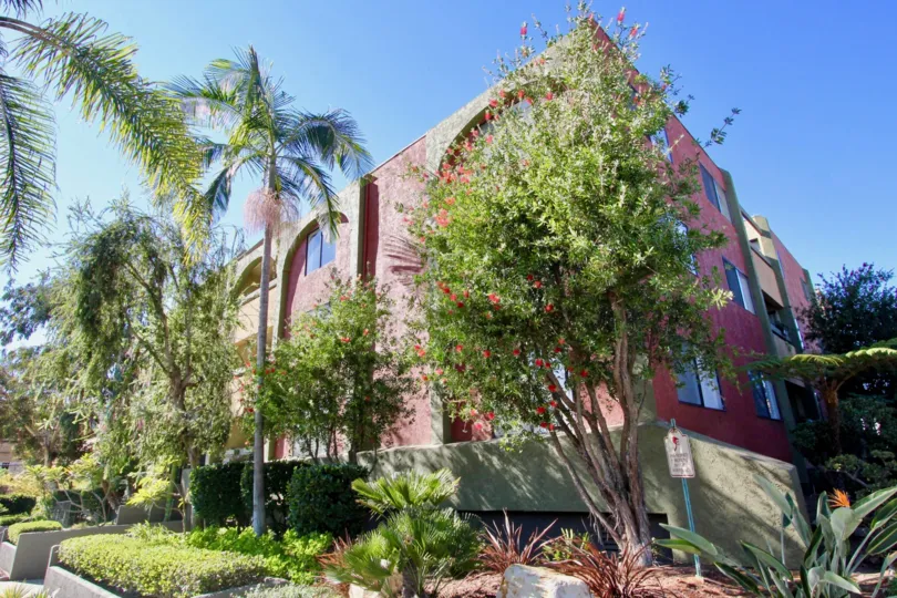 A sunny day in the area of Centre Park Terrace, outside, high rise, condos, flowers, palm trees
