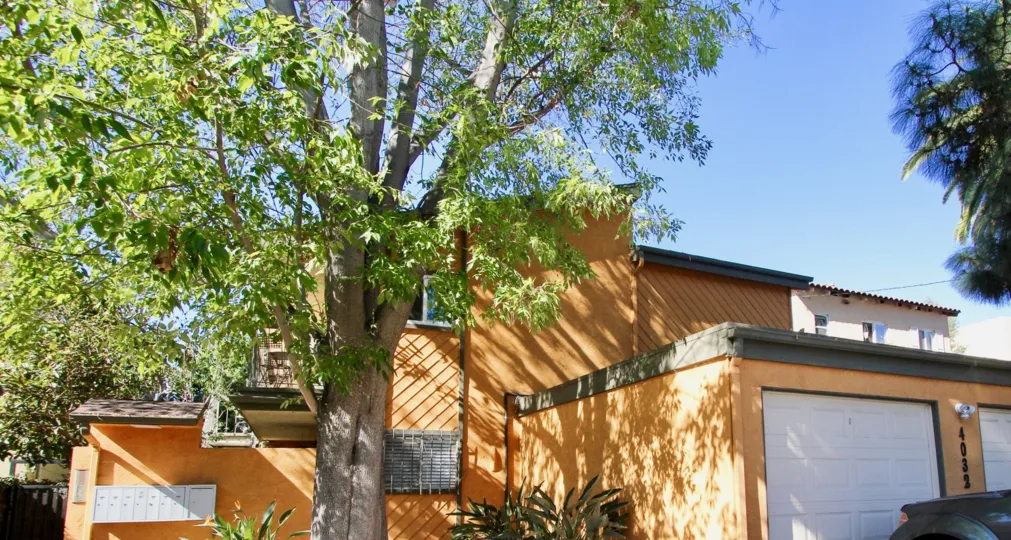 A sunny day in the Centre St with building and trees.