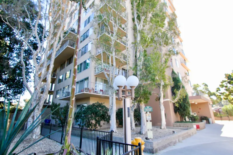 A SUNNY DAY IN THE CORAL PLAZA WITH BUILDING AND TREES SOME OTHER PLANTS