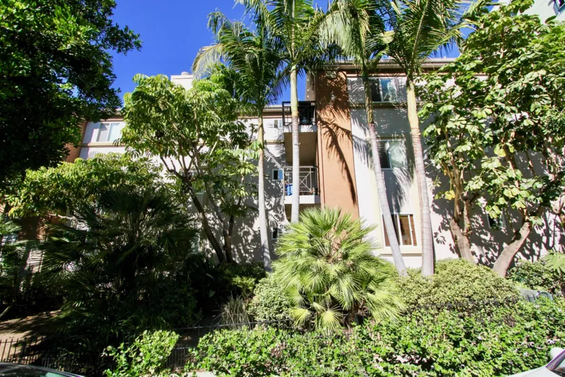 In front of Apartment in Essex Place covered with plants and trees