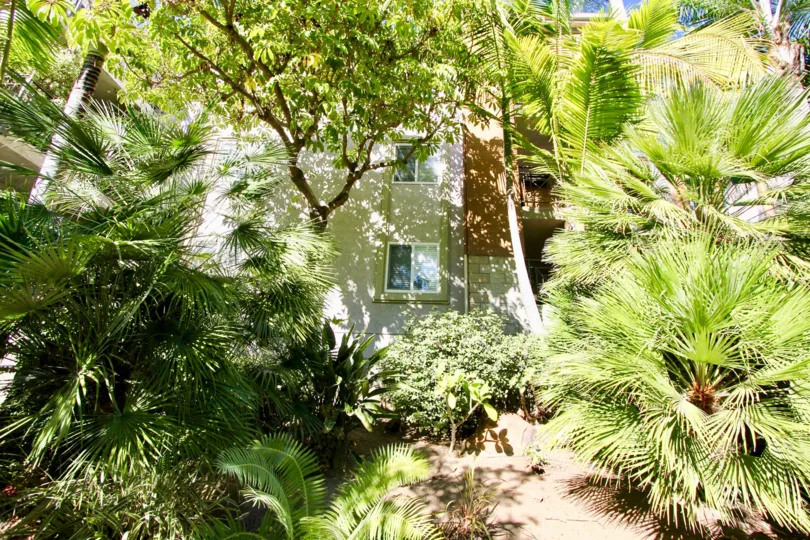 The campus of Essex Place is full of lush green grass and plants