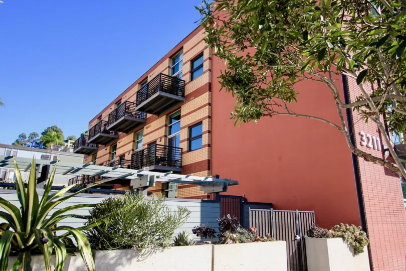 The Fifth Avenue Lofts with tall trees around the building