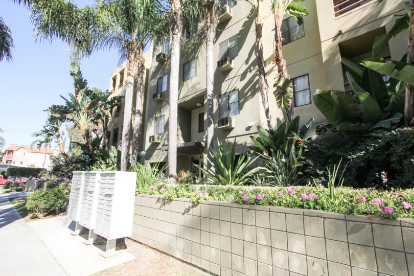 THE BUNGALOW IN THE HILLCREST PALMS WITH THE AIR CONDITIONER, ELECTRIC BOX, BANANA TREE, FLOWER PLANTS