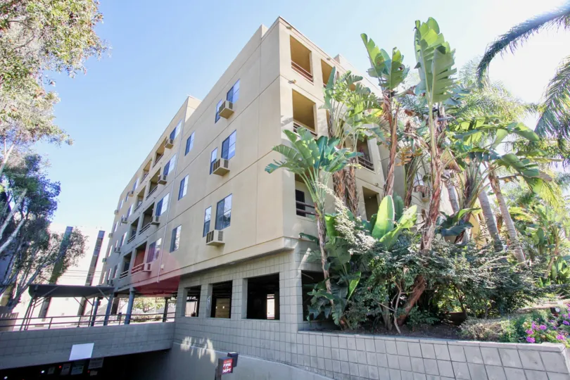 THE APARTMENT IN THE HILLCREST PALMS WITH THE BANANA TREES, PLANTS