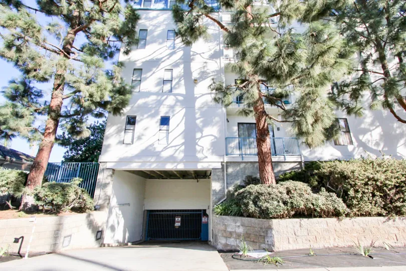 A sunny day in the Le Parc Chateau with residential apartment and trees.