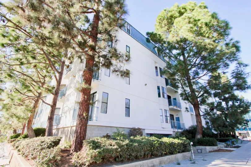 The Trees in Le Parc Chateau is taller than the apartment in the Community