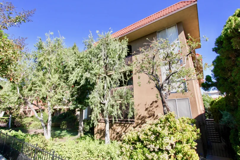 THE APARTMENT IN THE LOMA CRESTA WITH THE TREES, PLANTS, WOODEN WALL