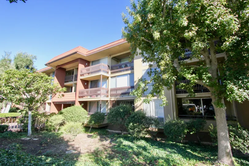 A sunny day in the area of Loma Cresta, wooden fence, outside, balcony, window, tree