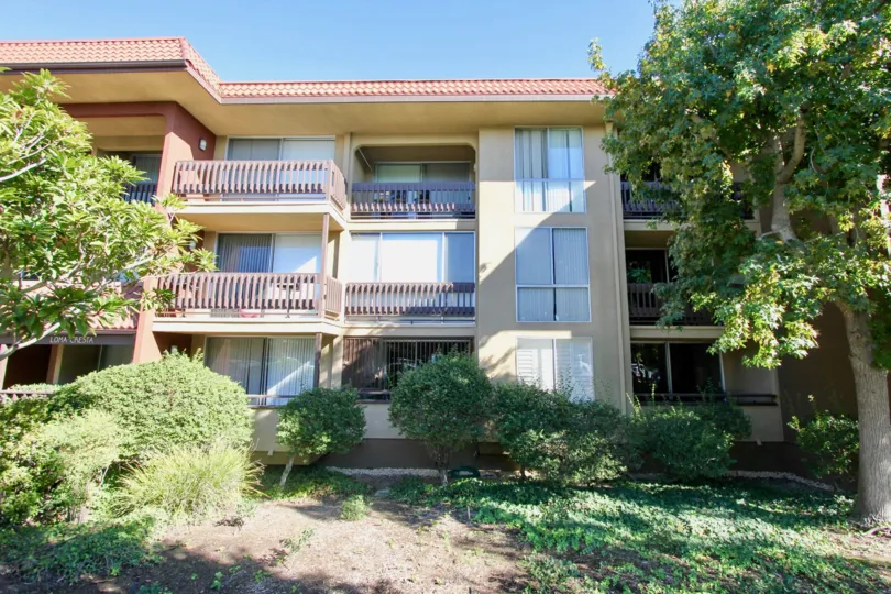 Amazing back yard in the Loma Cresta apartments in the city of Hillcrest