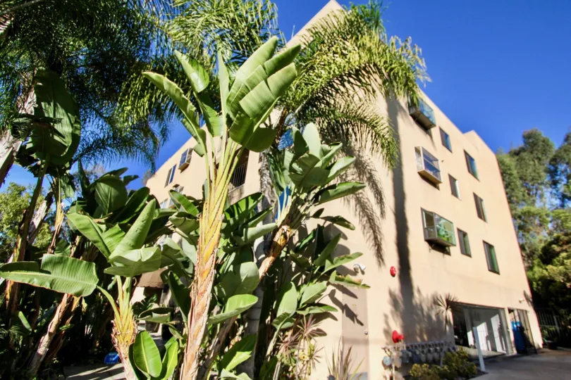 A sunny day in the Maple Front with residential building and plants.