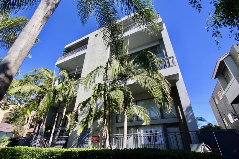 Palm Trees shade the Lofts of Montana in Hillcrest, California.