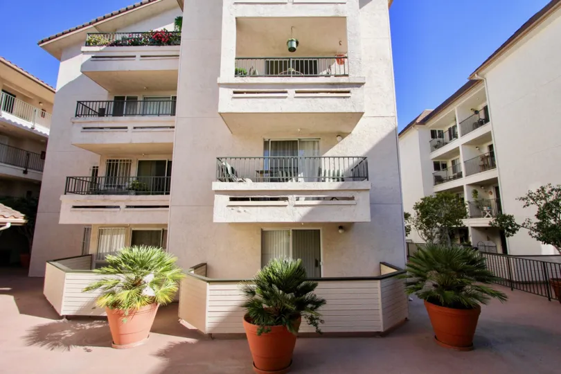 A sunny day in the Pacific Ridge with residential building and plants.