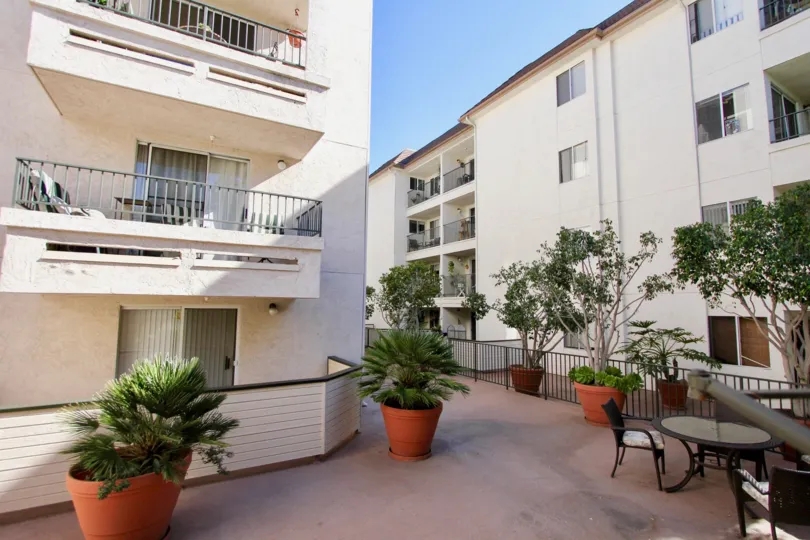 A great day in the Pacific Ridge with an apartment and plants.