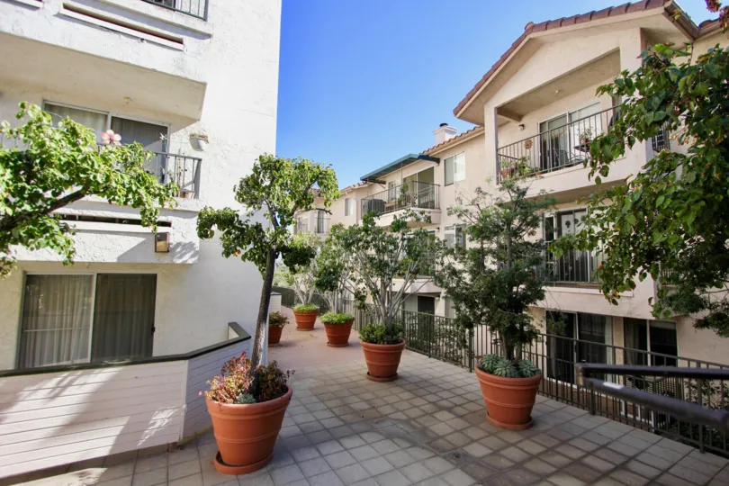A sunny day in Pacific Ridge flat with beautiful garden