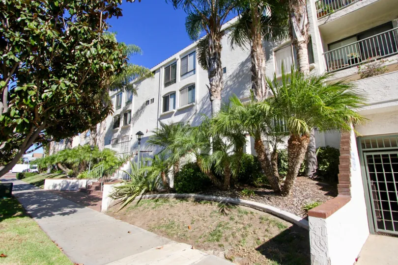 Pathway of the Apartment in Park Terrace has plants and trees