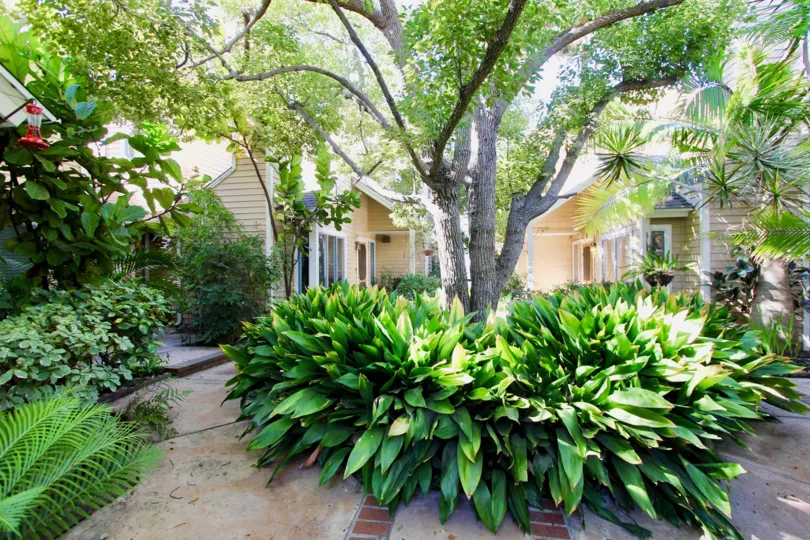 Garden with trees in Peppercorn community, Hillcrest, CA