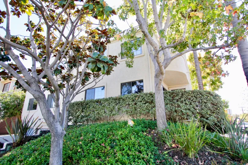 THE APARTMENT IN THE RICHMOND MANOR WITH THE LIGHT, PLANTS, TREES