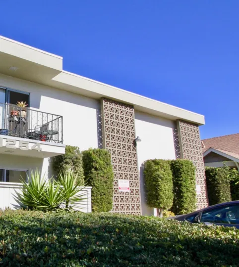 A sunny day in Robinson Ave Villa flat with beautiful garden