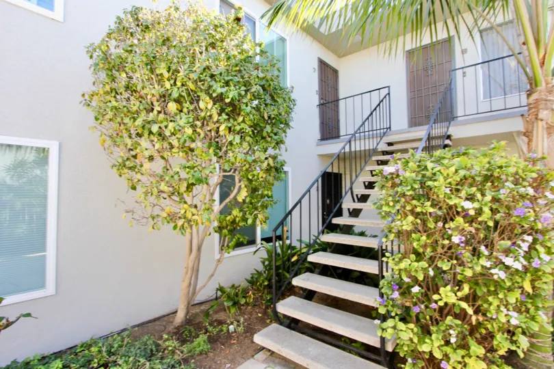 the Robinson Ave Villa with steps in the entrance and small plants around