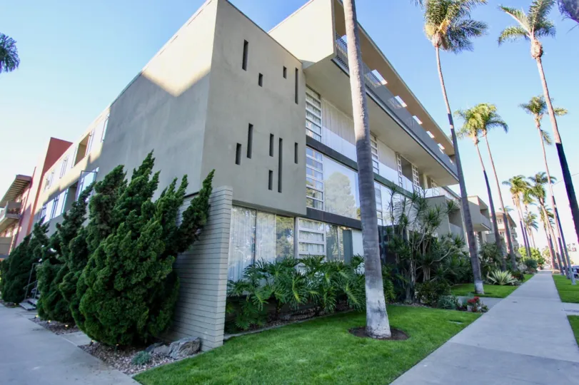 A sunny day in the Solomon Building with residential building and trees.
