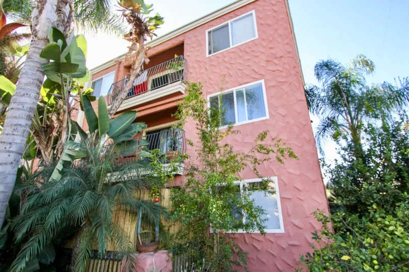 THE BUILDING IN THE TERRACE VILLAGE WITH THE BANANA TREES, OTHER TREES, FLOWER PLANT