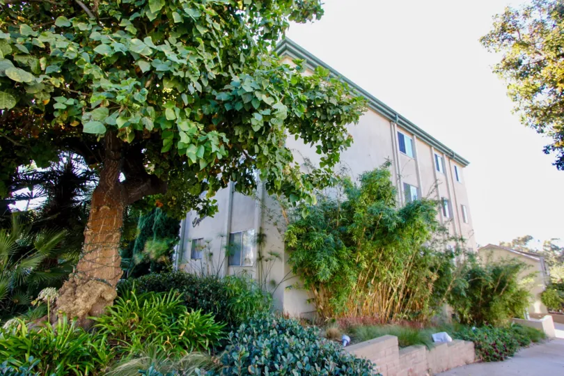 A sunny day in the The Capistrano with residential building and plants.