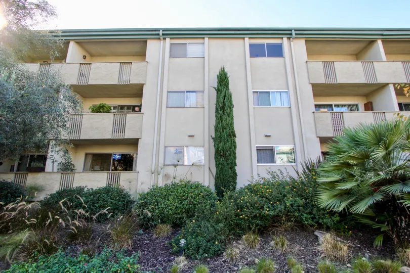Apartment with bushes and a tree in The Capistrano Community in Hillcrest, CA.
