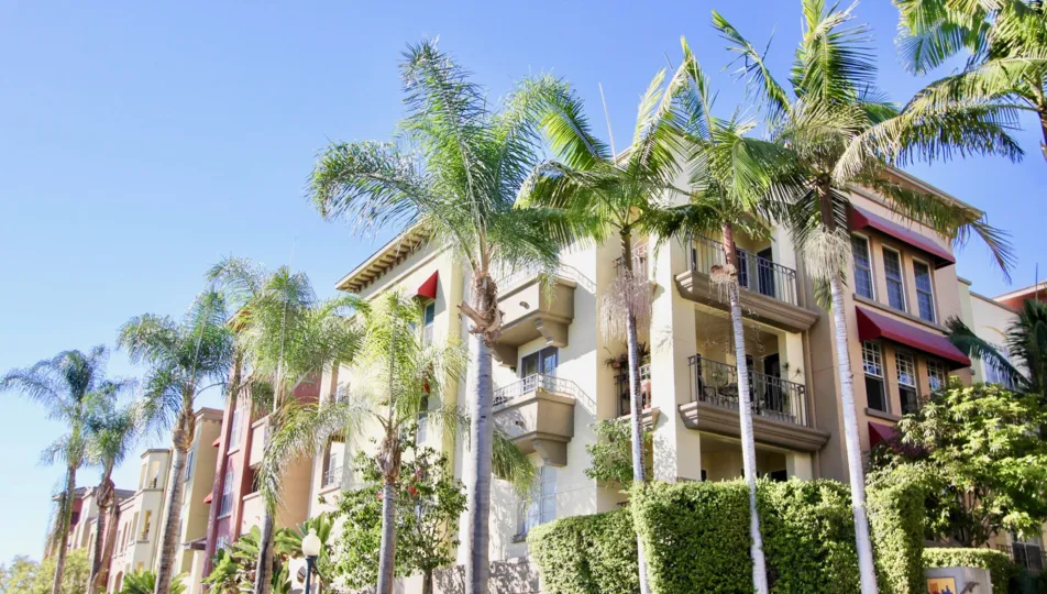 Tall Trees are surrounded the apartment in Uptown District with bushes