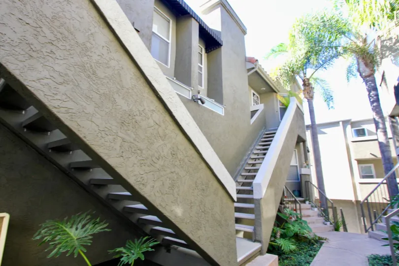 Stylish modern open-riser stairs with tall mature palm trees and multiple gardens in a courtyard in Hillcrest