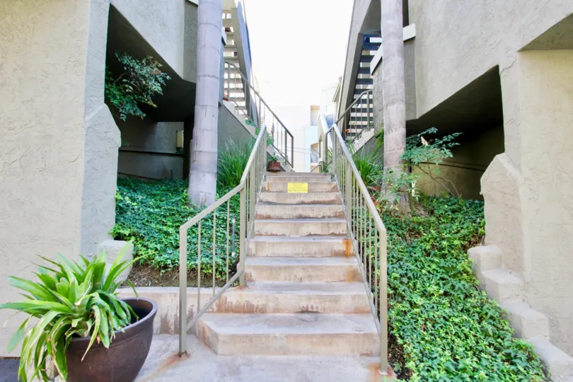 A sunny day in the Uptown Villas West with residential building and plants.