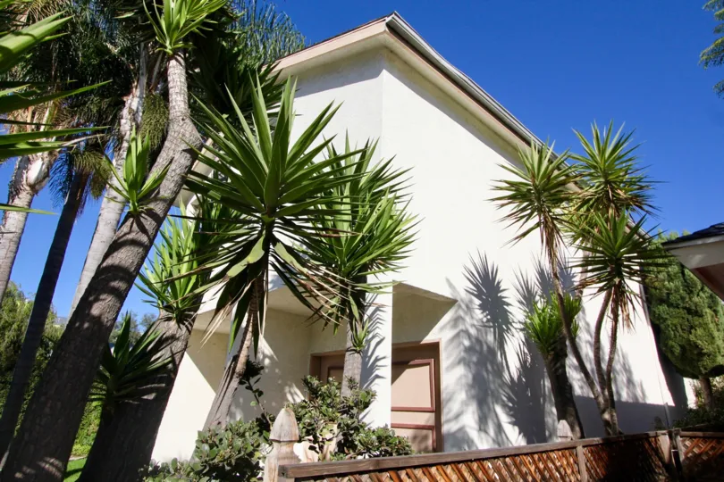 A sunny day in the area of Uptown West, outside, palm trees, condos, blue sky