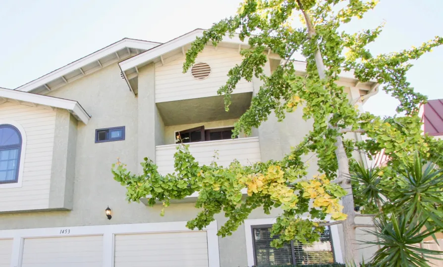a warm day in the vantage ll with a house that has no roof top and has a tall tree in front