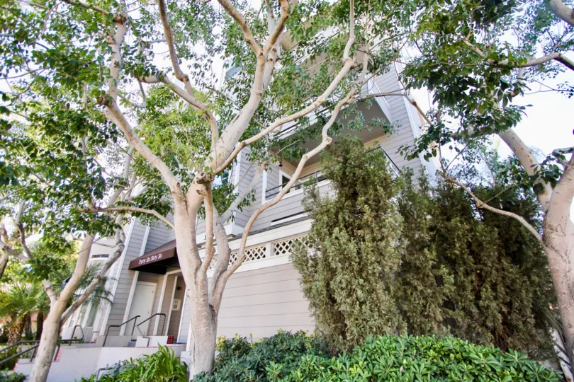 Traditional style homes with plenty of mature trees and bushes for privacy with lattice decor at Windsor Place