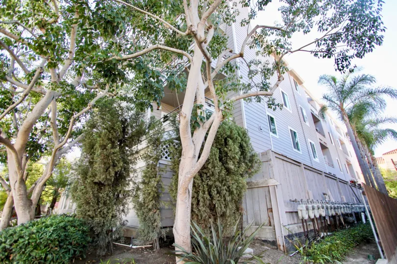 A sunny day in the Windsor Place with residential apartment and trees.