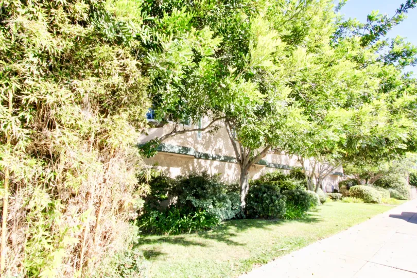 Trees next to a sidewalk at Casa De La Playa in Imperial Beach California