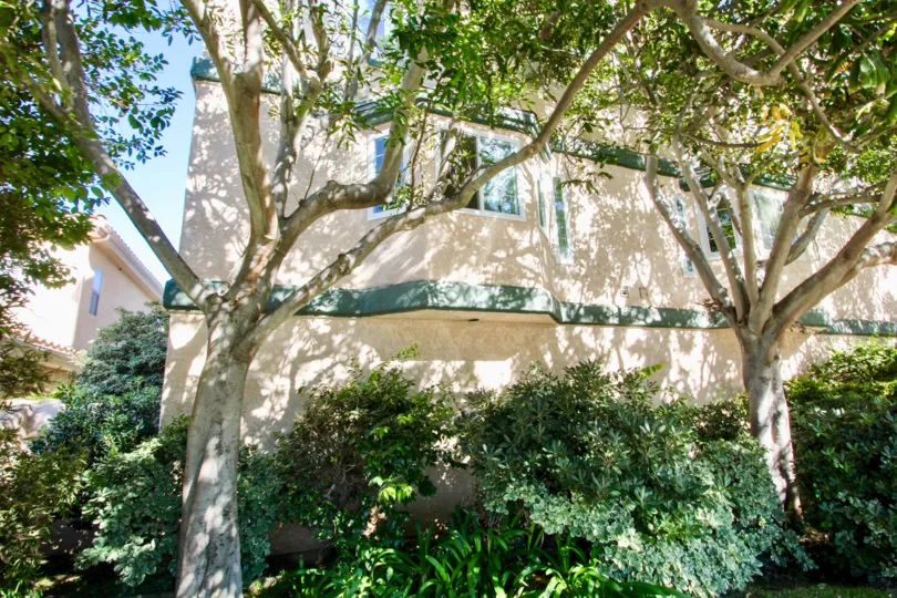 Casa De La Playa, City: Imperial Beach, backside of the building and trees